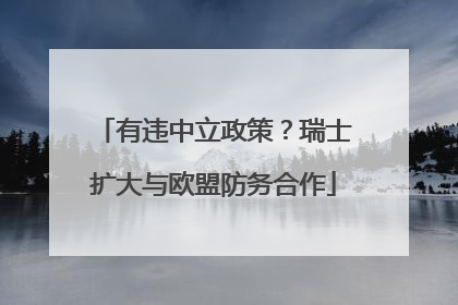 有违中立政策？瑞士扩大与欧盟防务合作