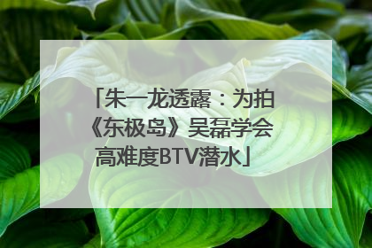 朱一龙透露：为拍《东极岛》吴磊学会高难度BTV潜水