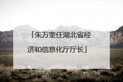 朱万奎任湖北省经济和信息化厅厅长