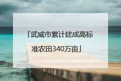 武威市累计建成高标准农田340万亩