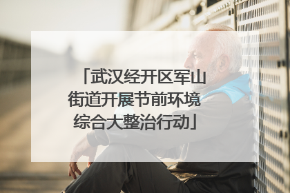 武汉经开区军山街道开展节前环境综合大整治行动