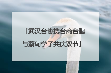 武汉台协携台商台胞与蔡甸学子共庆双节