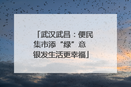 武汉武昌：便民集市添“绿”意 银发生活更幸福