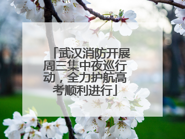 武汉消防开展周三集中夜巡行动，全力护航高考顺利进行