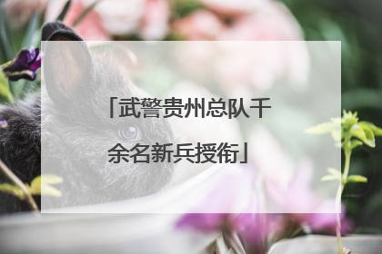 武警贵州总队千余名新兵授衔