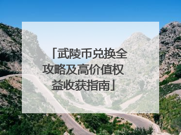 武陵币兑换全攻略及高价值权益收获指南
