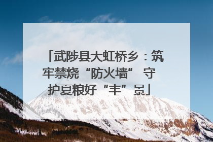 武陟县大虹桥乡：筑牢禁烧“防火墙” 守护夏粮好“丰”景