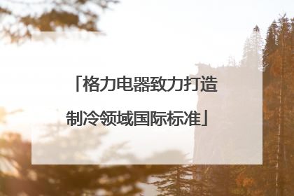 格力电器致力打造制冷领域国际标准