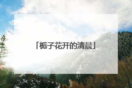 栀子花开的清晨