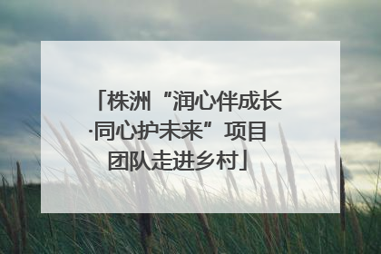 株洲“润心伴成长·同心护未来”项目团队走进乡村