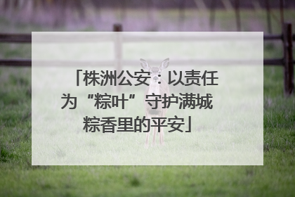 株洲公安：以责任为“粽叶”守护满城粽香里的平安