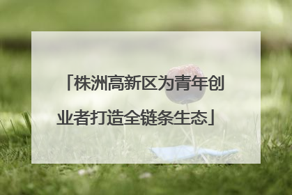 株洲高新区为青年创业者打造全链条生态