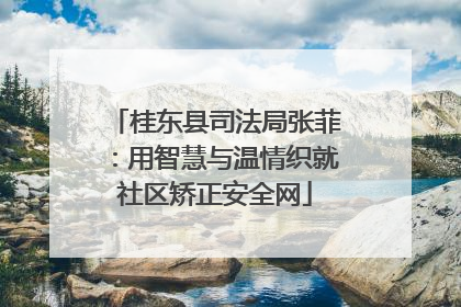 桂东县司法局张菲：用智慧与温情织就社区矫正安全网