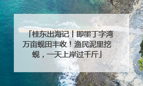 桂东出海记丨即墨丁字湾万亩蚬田丰收！渔民泥里挖蚬，一天上岸过千斤