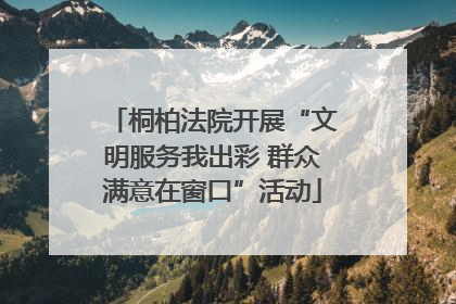 桐柏法院开展“文明服务我出彩 群众满意在窗口”活动