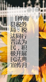 桦南县税务局：税法同行普法为民，积极开展民法典宣传月活动