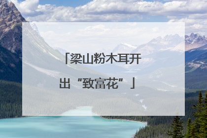 梁山粉木耳开出“致富花”