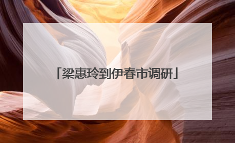 梁惠玲到伊春市调研