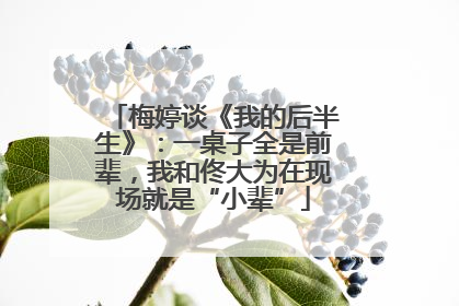 梅婷谈《我的后半生》：一桌子全是前辈，我和佟大为在现场就是“小辈”