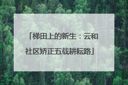 梯田上的新生：云和社区矫正五载耕耘路