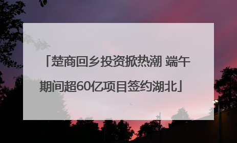 楚商回乡投资掀热潮 端午期间超60亿项目签约湖北