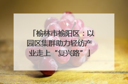 榆林市榆阳区：以园区集群助力轻纺产业走上“复兴路”