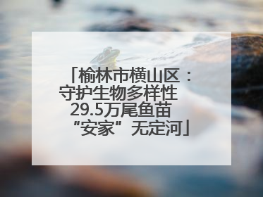 榆林市横山区：守护生物多样性 29.5万尾鱼苗“安家”无定河
