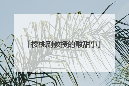 樱桃副教授的酸甜事