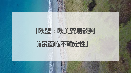 欧盟：欧美贸易谈判前景面临不确定性