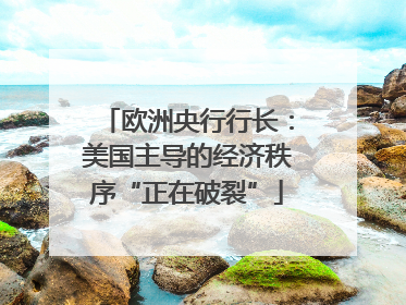欧洲央行行长：美国主导的经济秩序“正在破裂”