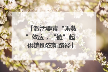 激活要素“乘数”效应，“链”起供销助农新路径