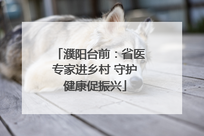 濮阳台前：省医专家进乡村 守护健康促振兴