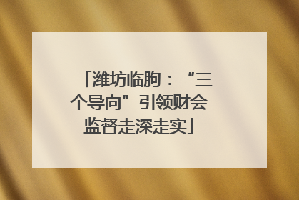 潍坊临朐：“三个导向”引领财会监督走深走实