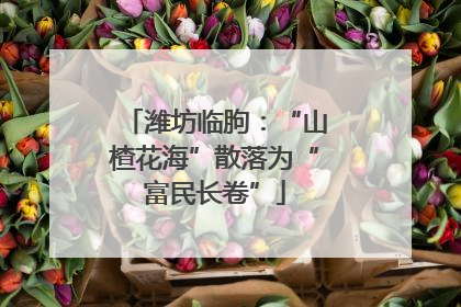 潍坊临朐：“山楂花海”散落为“富民长卷”
