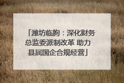 潍坊临朐：深化财务总监委派制改革 助力县属国企合规经营