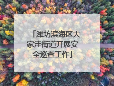 潍坊滨海区大家洼街道开展安全巡查工作