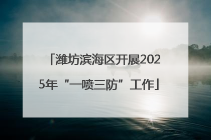 潍坊滨海区开展2025年“一喷三防”工作