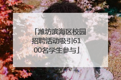 潍坊滨海区校园招聘活动吸引6100名学生参与