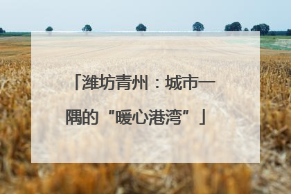 潍坊青州：城市一隅的“暖心港湾”