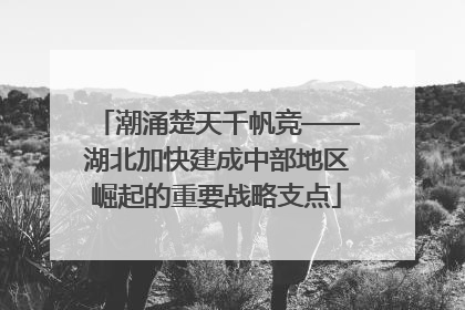 潮涌楚天千帆竞——湖北加快建成中部地区崛起的重要战略支点