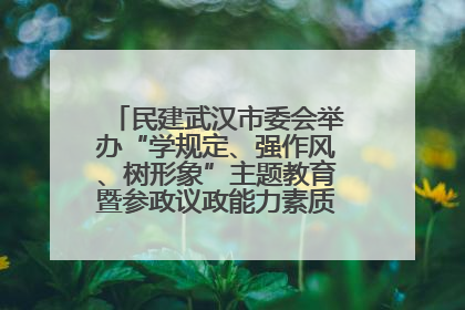 民建武汉市委会举办“学规定、强作风、树形象”主题教育暨参政议政能力素质提升培训班