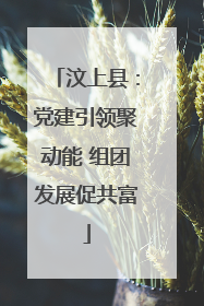 汶上县：党建引领聚动能 组团发展促共富