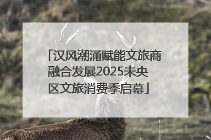 汉风潮涌赋能文旅商融合发展2025未央区文旅消费季启幕
