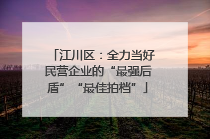 江川区：全力当好民营企业的“最强后盾”“最佳拍档”