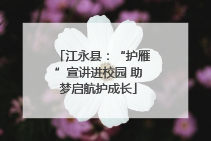 江永县：“护雁”宣讲进校园 助梦启航护成长