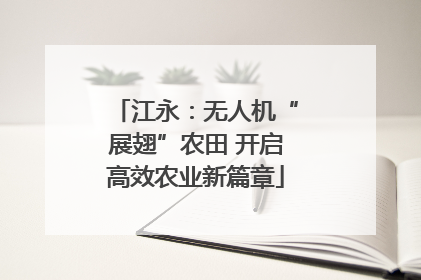 江永：无人机“展翅”农田 开启高效农业新篇章