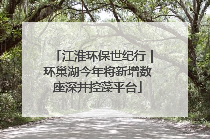 江淮环保世纪行｜环巢湖今年将新增数座深井控藻平台