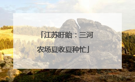 江苏盱眙：三河农场夏收夏种忙