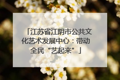 江苏省江阴市公共文化艺术发展中心：带动全民“艺起来”