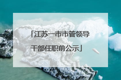 江苏一市市管领导干部任职前公示